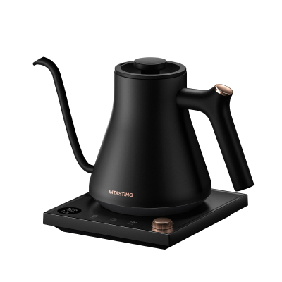 Electric Kettle