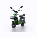 Walton TAKYON LEO Electric Bike