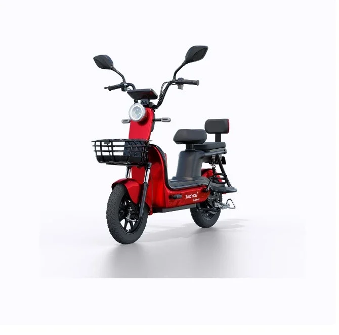 Walton TAKYON LEO Electric Bike