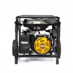 Walton Proxima 2200 Generator